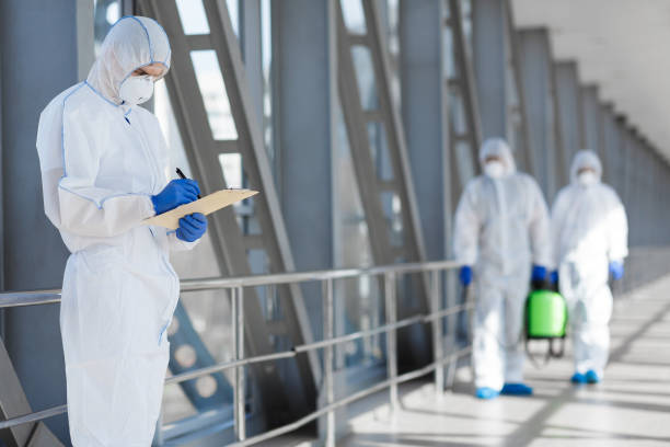 Moorefield, WV Mold Removal Company