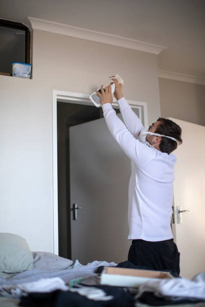 Best Commercial Mold Inspection  in Moorefield, WV