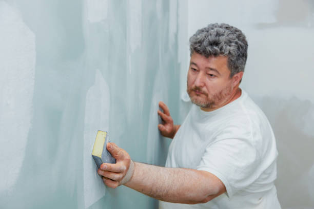 Best Mold-Related Health Consultation  in Moorefield, WV