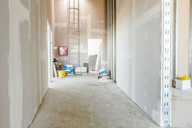 Best Emergency Mold Remediation  in Moorefield, WV