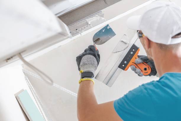 Mold Documentation for Insurance Claims in Moorefield, WV